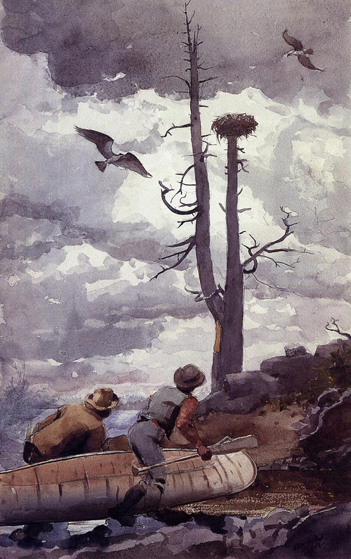 (image for) Handmade oil painting Copy paintings of famous artists Winslow Homer's paintings Ospreys Nest - Click Image to Close